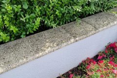 Reinigung Gartenmauer nachher